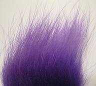 polar bear purple standart